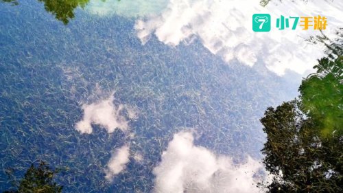 水灵动